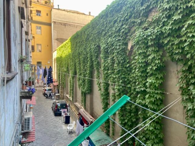 Centro Storico S Chiara House Daire Napoli Dış mekan fotoğraf